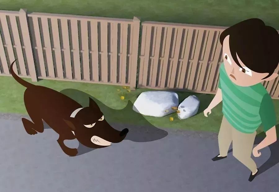 在外遇到恶犬攻击怎么办,如果被恶犬攻击怎么办