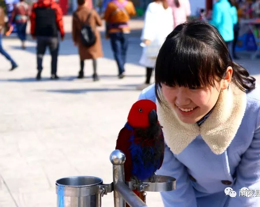 鏄ユ父鍗楅櫟寮嬫睙鍙ら晣瀵诲懗涔嬫梾,鑺滄箹鍗楅櫟鏄ユ父鏀荤暐