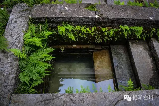 深渡镇旁边拍油菜花最佳位置在哪,深坡花海
