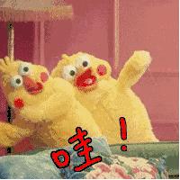 喜大普奔门票多少钱,喜大普奔运动完整视频