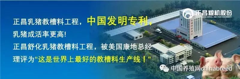 今日山东鲁西南地区生猪价格,山东生猪价格创年内新高