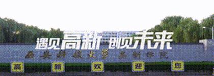 体育篮球排球技巧,篮球排球练习