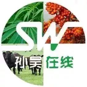 2019年孙吴县庆祝建国70周年暨中俄建交70周年中俄足球友谊赛鸣哨开幕