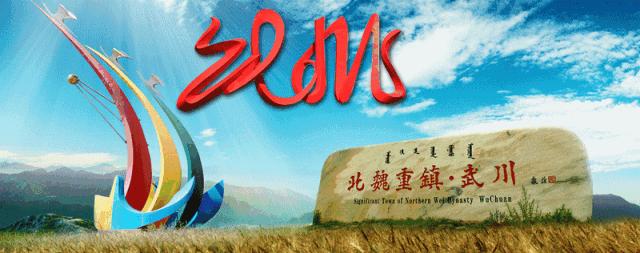 呼伦贝尔呼伦湖治理,内蒙古一湖两海生态综合治理