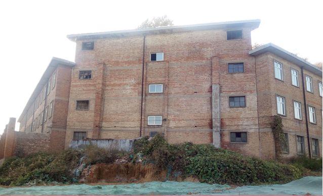 林州林钢,林州林钢图片