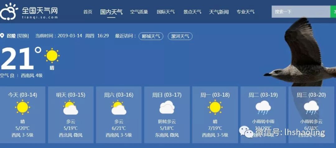 召陵新闻,精彩召陵