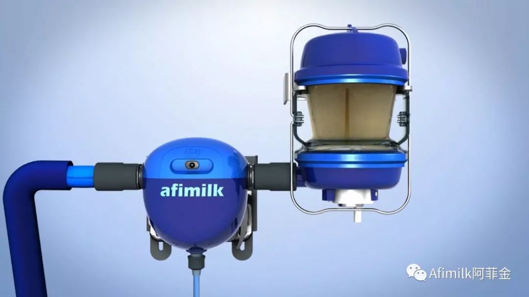 奶牛泌乳期曲线的绘制与分析,奶牛泌乳曲线图的绘制与分析