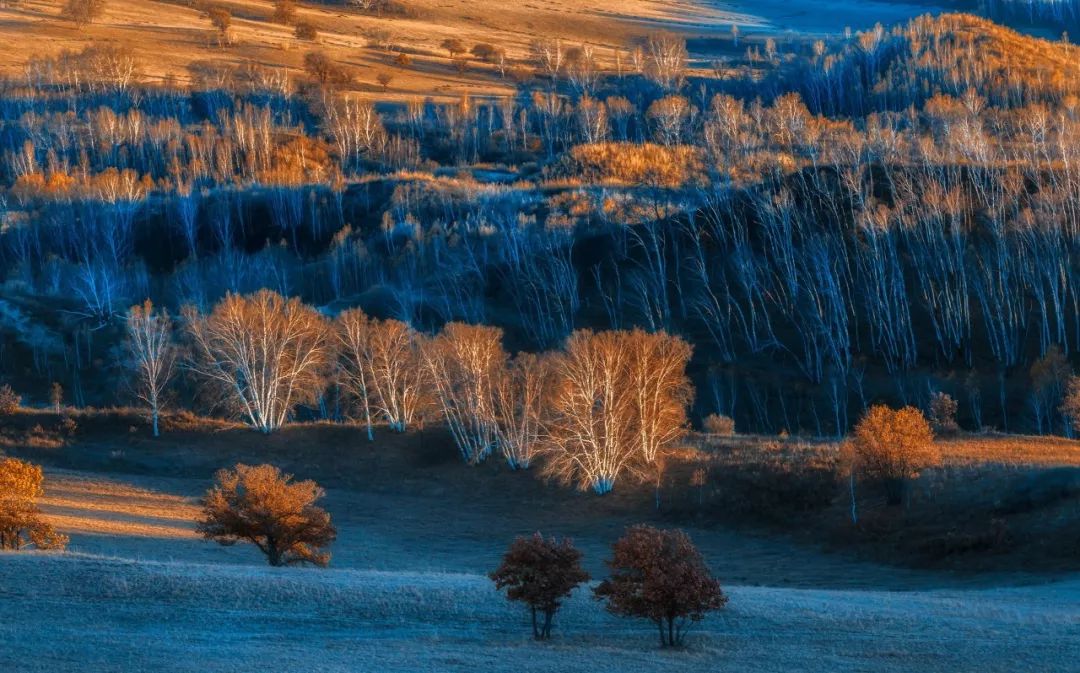 觊觎读音及解释,觊觎多音字