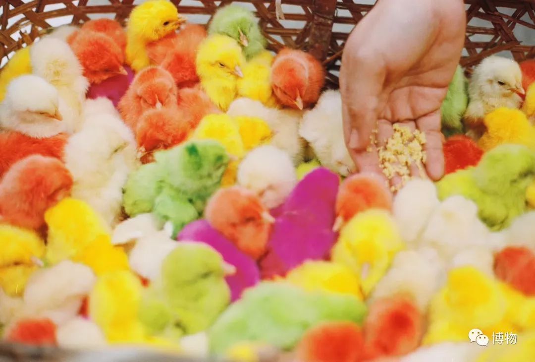 9102年了，别再用“人造”伤害动物和买家