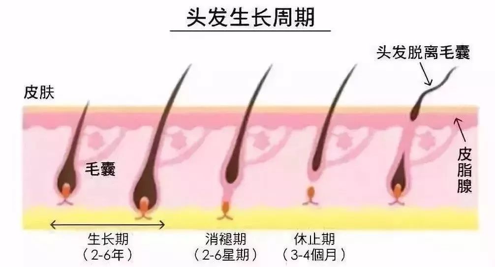 想要「换发型等于换头」？看这简单3步就可以