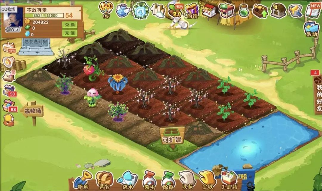 普通qq靓号怎么注销,qq靓号怎么注销