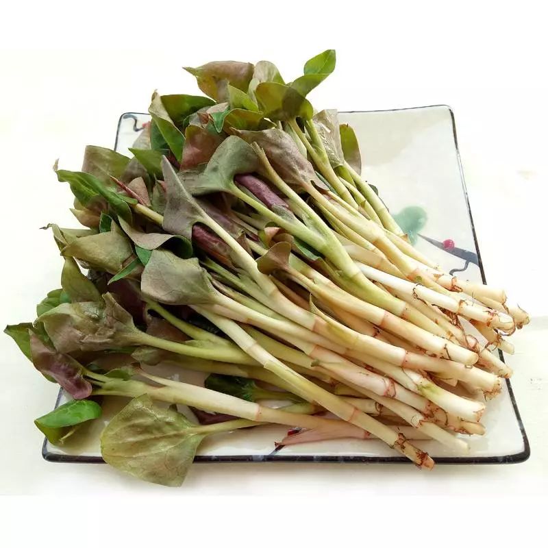 春天十大黄金野菜,中医养生必吃的9种食物