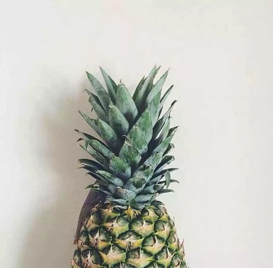 现在正是吃菠萝的季节,当下正值吃菠萝的季节