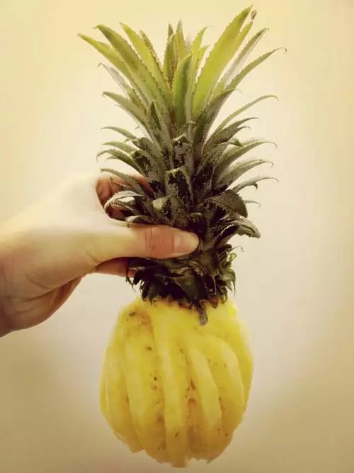 现在正是吃菠萝的季节,当下正值吃菠萝的季节