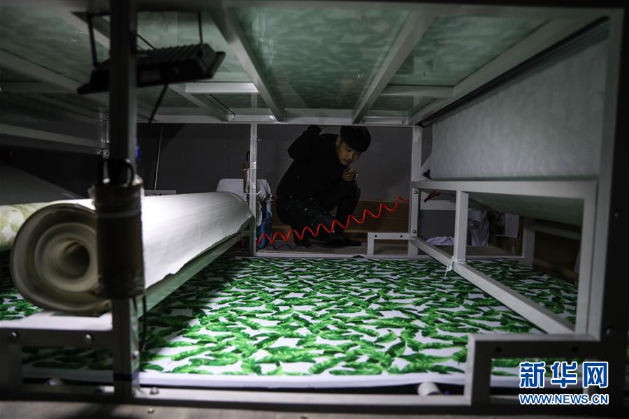 从千年古城到国际泳装之都——看辽宁葫芦岛如何“七彩转身”