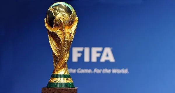 因凡蒂诺评价本届世界杯,因凡蒂诺说中国举办世界杯的话