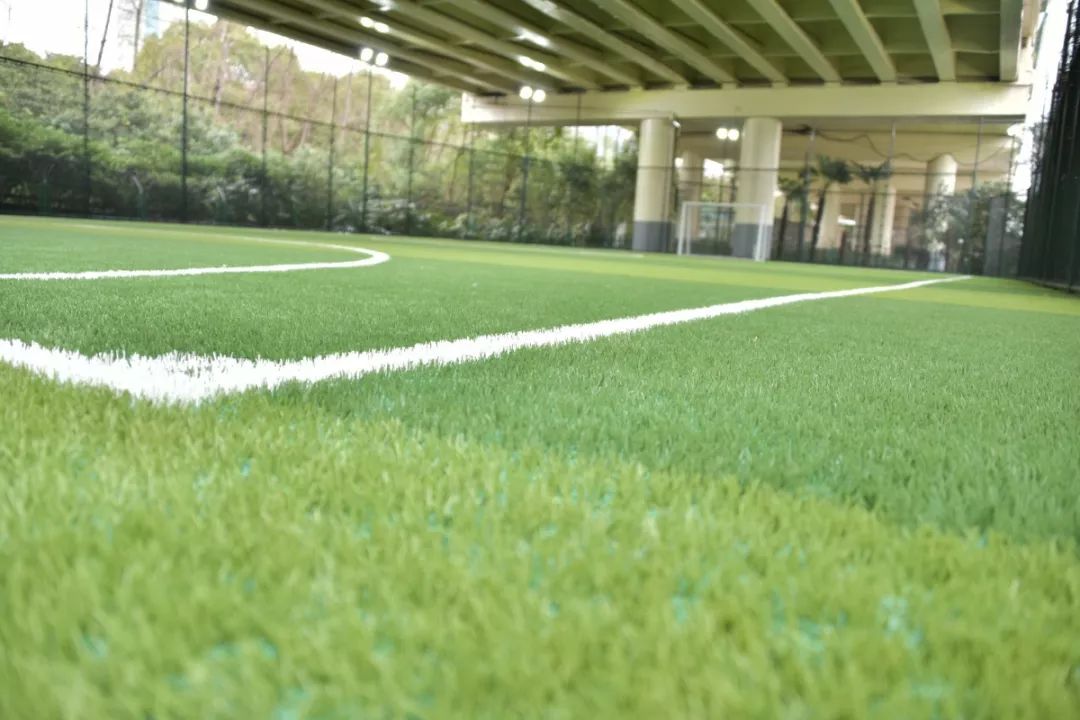 新虹桥中心花园视频,新虹桥中心花园社区公共运动场