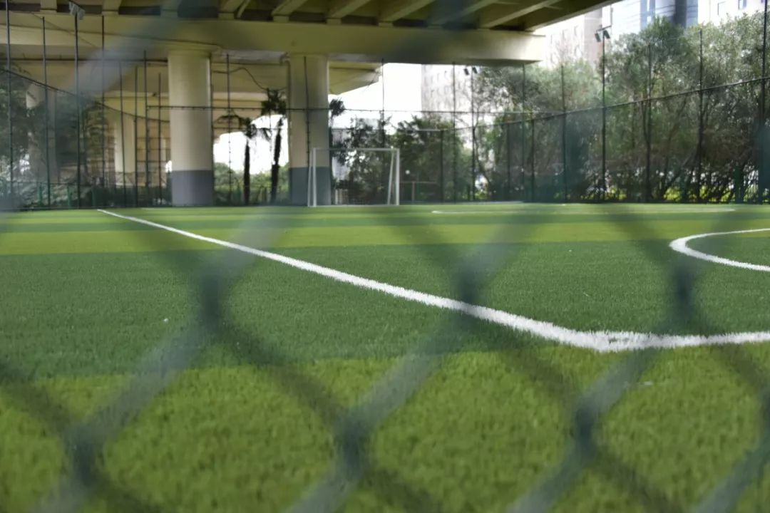 新虹桥中心花园视频,新虹桥中心花园社区公共运动场