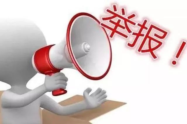 网络举报平台举报后查询不到结果,网络举报平台官方网站