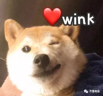 女子被藏獒吓到高位截瘫,女子突遇藏獒吓到撞墙致高位截瘫