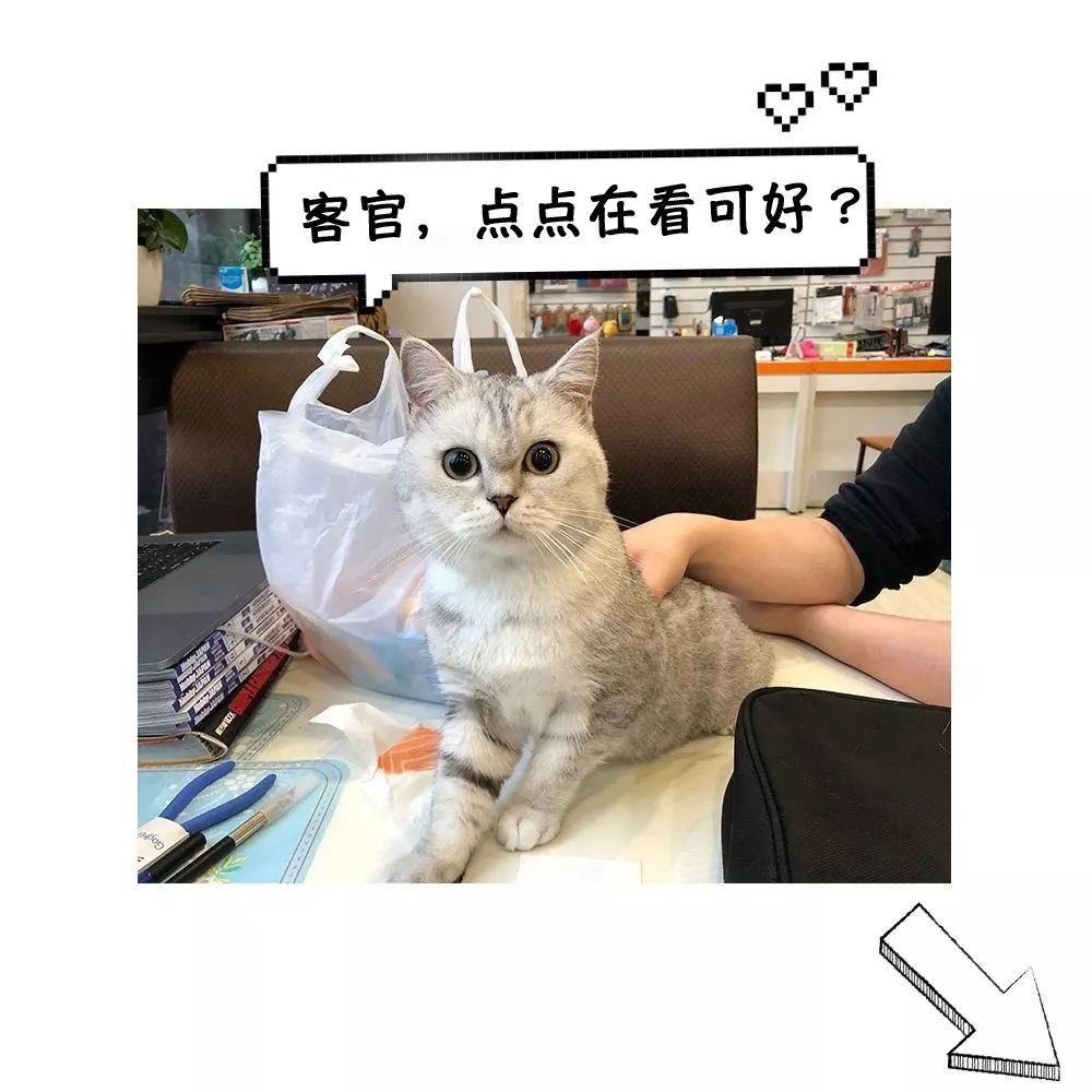 纳米手套和无限手套测评,可穿戴纳米手套