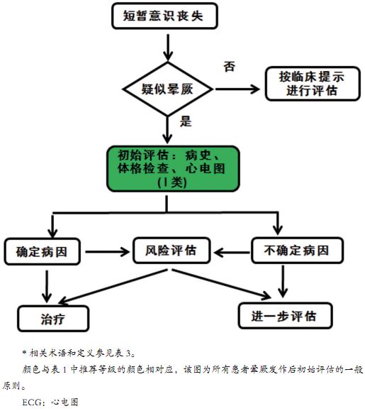 棘手的晕厥诊治，这份来自哈佛的简洁手册堪称典范！|专家视角