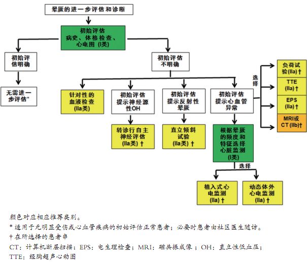 棘手的晕厥诊治，这份来自哈佛的简洁手册堪称典范！|专家视角
