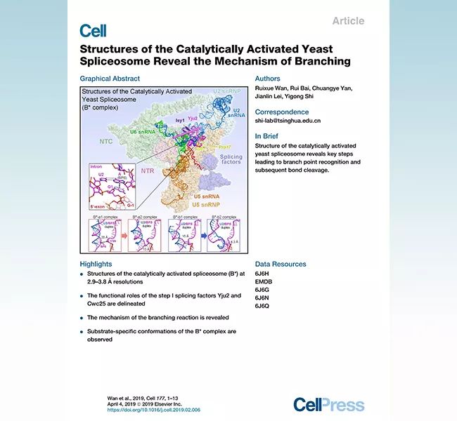 Cell：施一公组完成酵母剪接体结构最后拼图