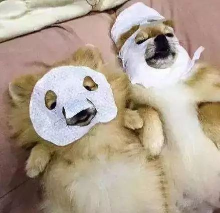 泰国必买711清单及价格表,来泰国必买清单在哪里买