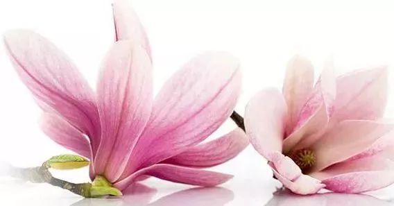 三年一做的妇科检查,今年妇科检查几月份开始检查