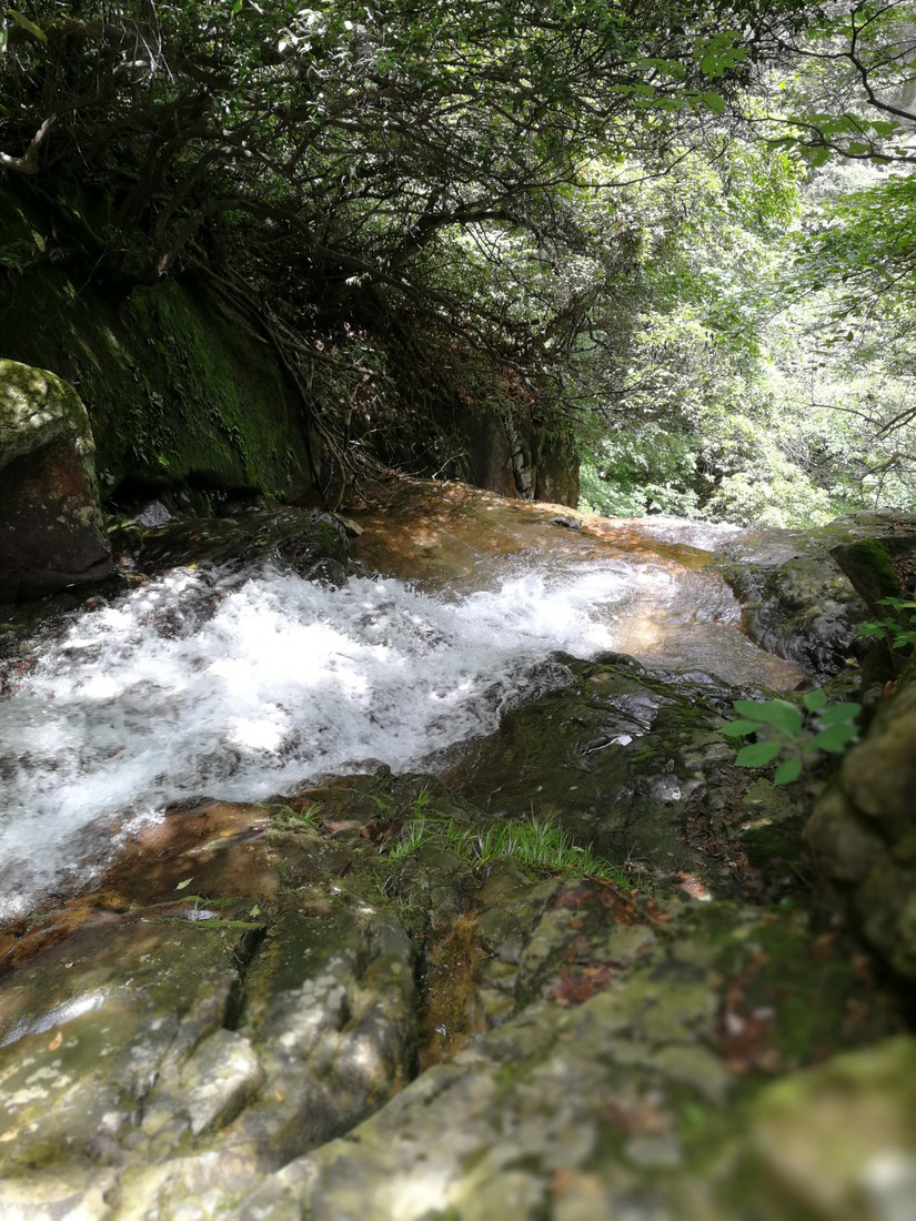 搁船尖登顶难度,搁船尖天目山光明顶