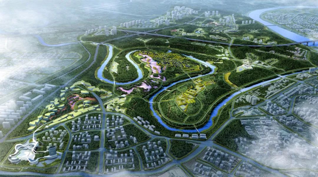 简阳电视台现场直播中华龙舟赛,中华龙舟大赛成都简阳站