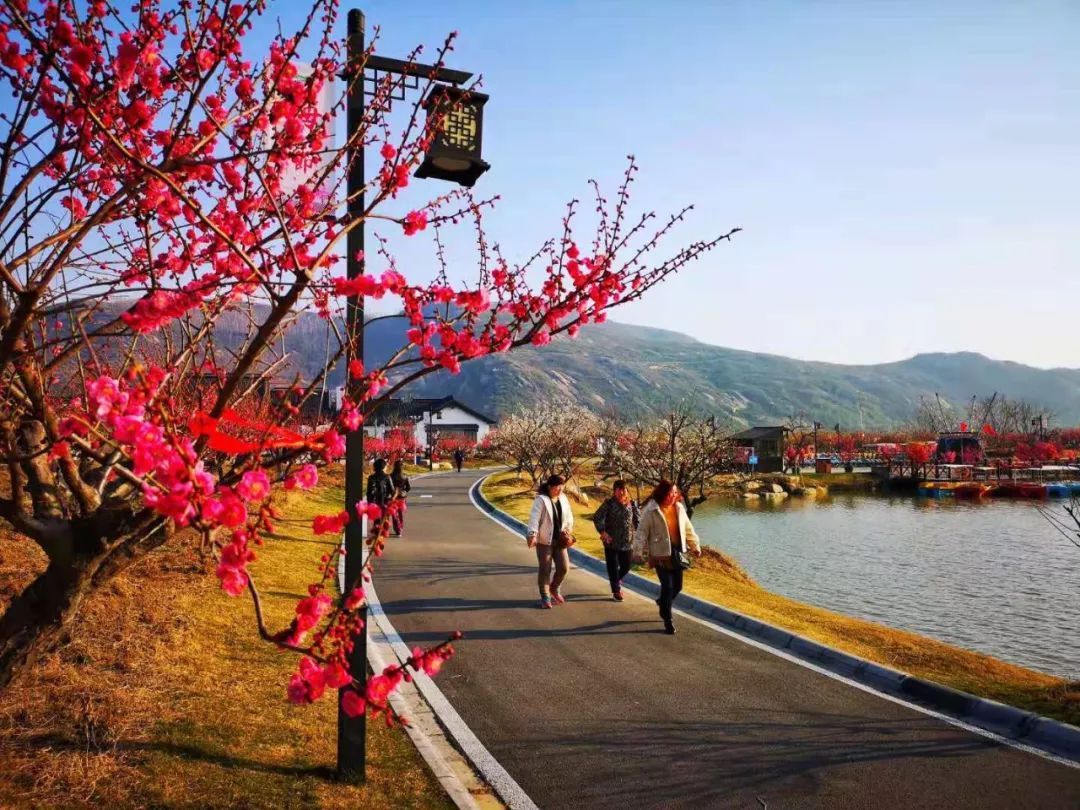 灌云产业发展趋势,灌云左军规划