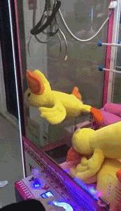 丽江古城区招聘信息网最新招聘,红谷招聘信息