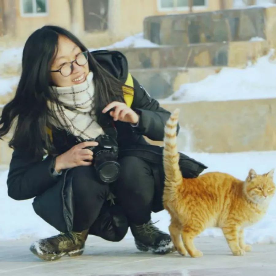 风口上的少儿编程,少儿编程风口学校