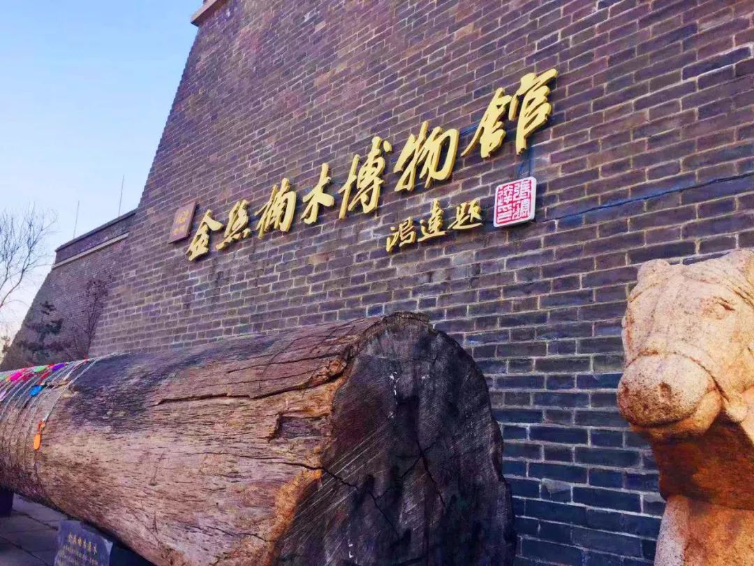 带孩子云游国内外10大顶级博物馆,青岩古镇金丝楠木博物馆