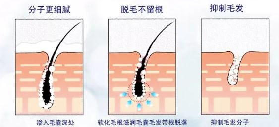 店庆省钱攻略,店庆全攻略