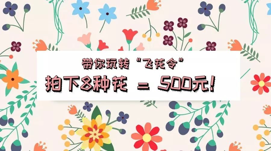 斯道拉恩索“北海制造”新品北极鹿™在上海隆重亮相