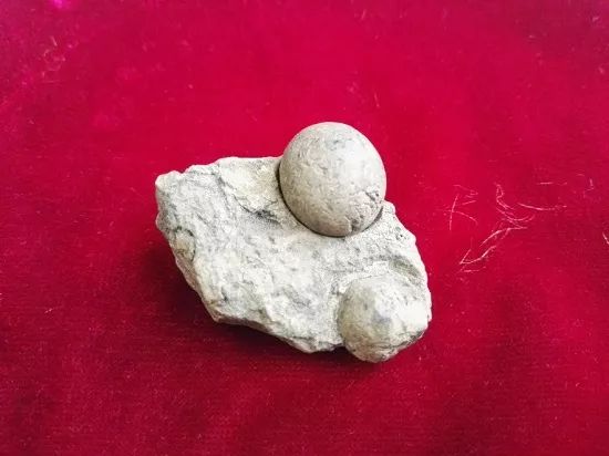 中国贵州绿茶,中国绿茶明前茶