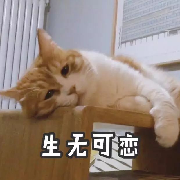 妯辨妗冩潖鏉庢ⅷ杈ㄨ鏂规硶,姊呮潕妗冩潖妯辫姳鎬庝箞鍖哄垎