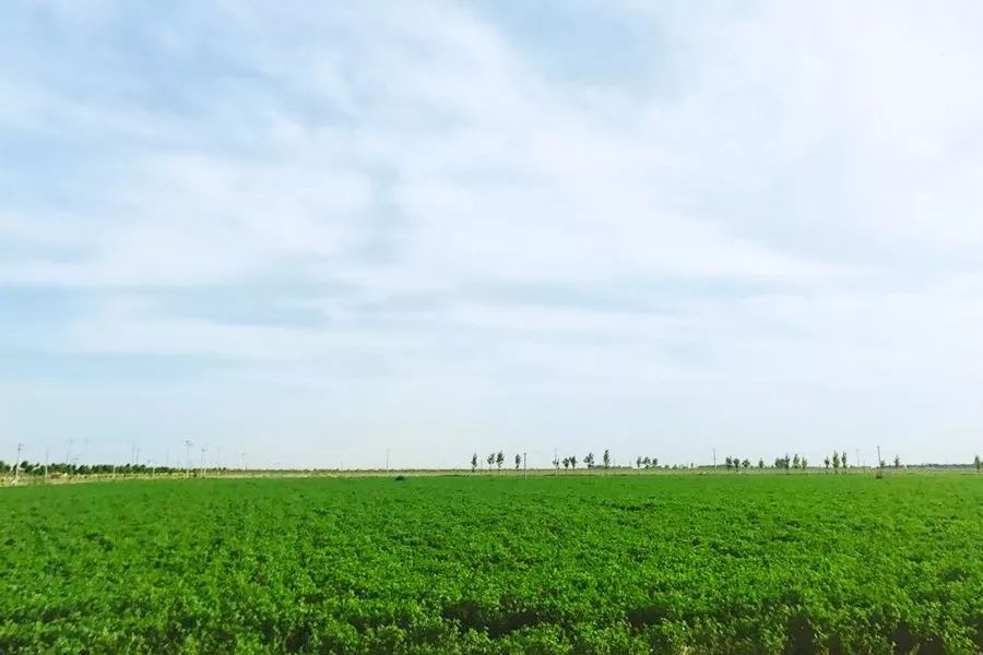 为了身体健康让孩子喝牛奶,让孩子喝上放心的牛奶就那么难吗