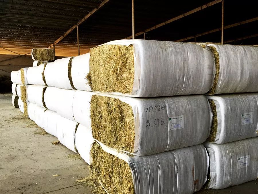 为了身体健康让孩子喝牛奶,让孩子喝上放心的牛奶就那么难吗