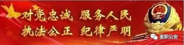 治安管理大队破获盗窃案工作简报,道北盗窃案
