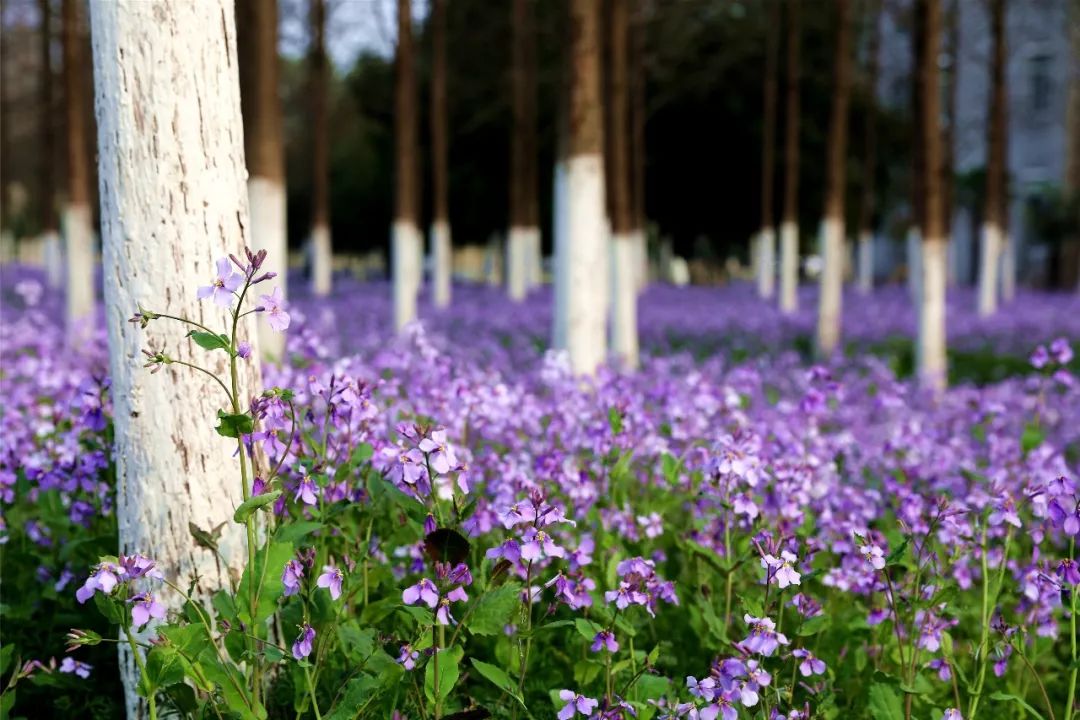 嗨，新同学你好，这里是河海大学！