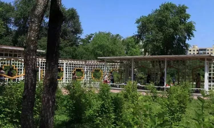 哈尔滨哪里有五人制足球场,哈尔滨足球场