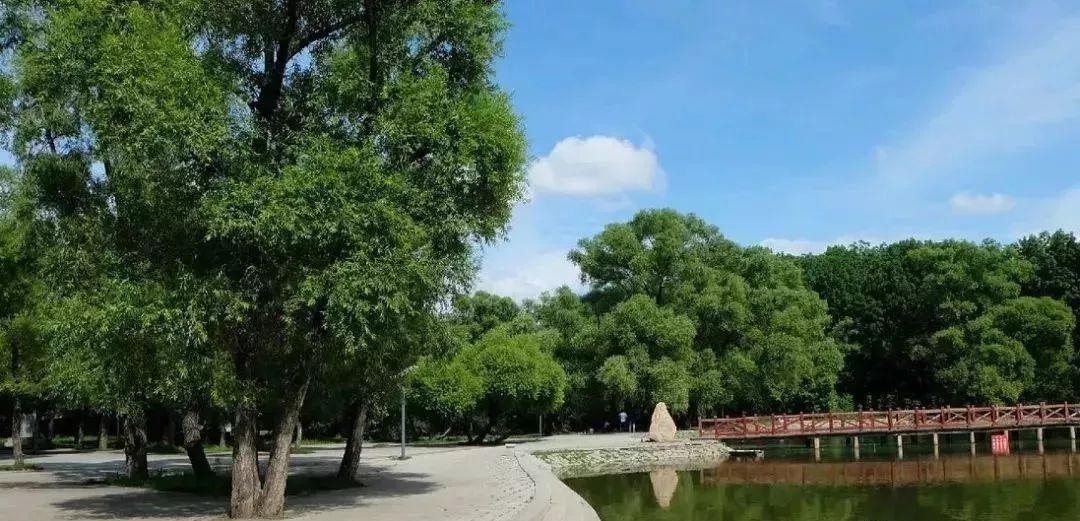 哈尔滨哪里有五人制足球场,哈尔滨足球场