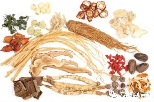 养生秘诀五种食物降低胆固醇,中医养生调理血脂高