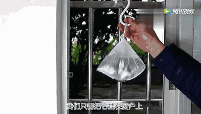 一勺洗衣粉,一勺洗衣粉让蟑螂断子绝孙