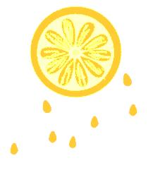 口碑最好的霸王餐,最近火的霸王餐