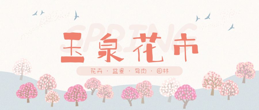 花色撩人，亲测德阳这两家花市，“花chi”去了就不想出来！